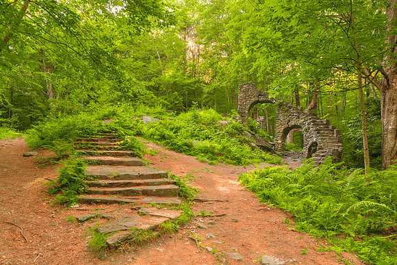 Sun Kissed Forest Castle Ruins