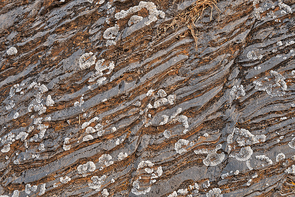 Cracked Stone Striations