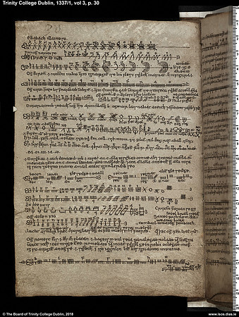 MS 1337 / Book of Ogams (page 30)