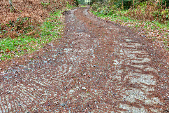 Gwydir Snake Passage
