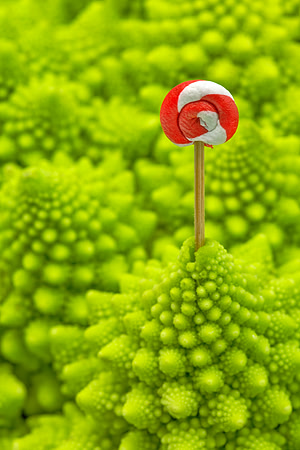 Romanesco Lollipop