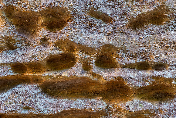 Confetti Stone Circus