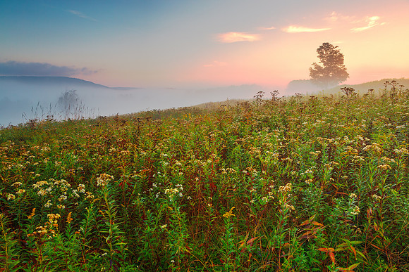 Misty Canaan Valley Sunrise