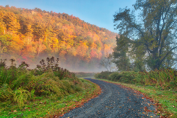 Misty Autumn McDade Trail