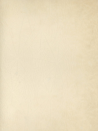 Vintage Tissue Guard Paper - Spider Webs