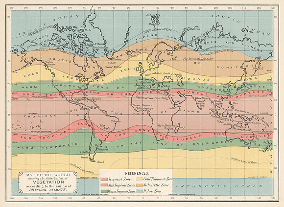 Vintage Vegetation World Map