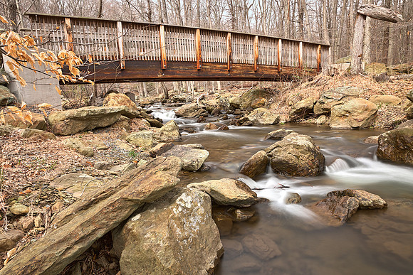 Cunningham Forest Bridge & Water Stream