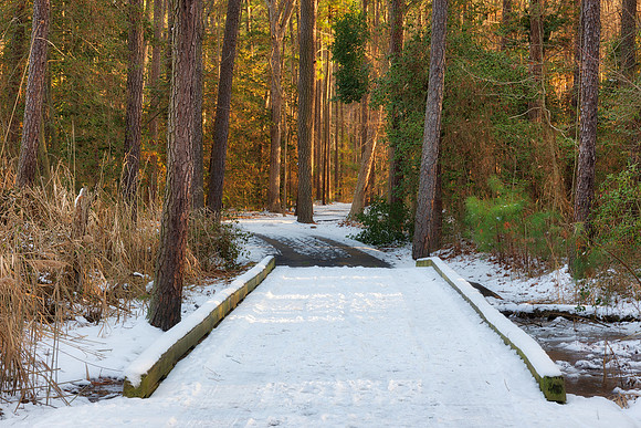 Winter Crossing Trail - Kent Island