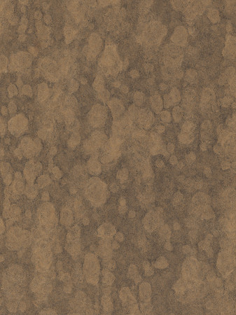 Cloudy Vintage Cardboard