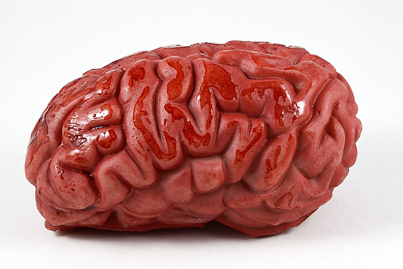 Brain Prop