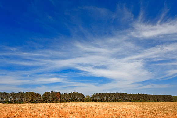 Wye Island Sky Field