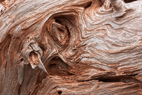 Dragon Beach Wood