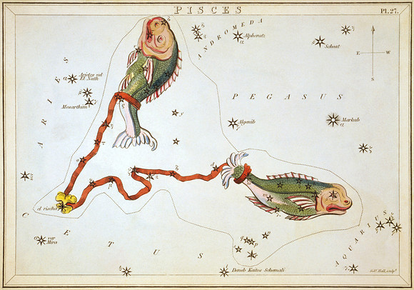 Vintage Constellation Pisces (Urania's Mirror)