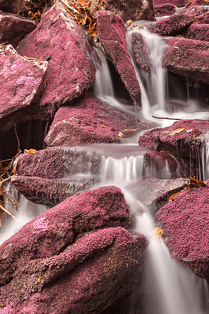 Pink Moss Waterfall