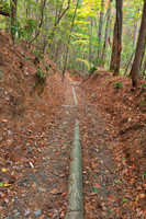 Juney Whank Forest Trail