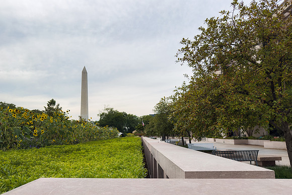 Washington Convergence