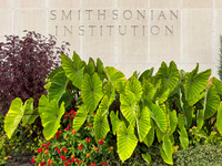 Vibrant Smithsonian Institution