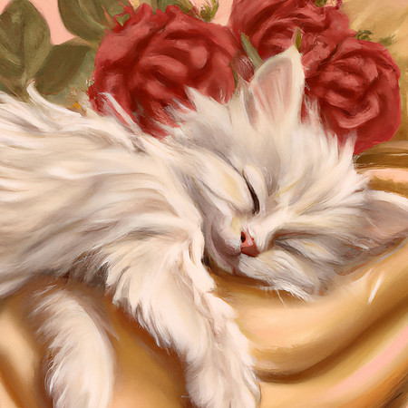 Kitten Rose Nap