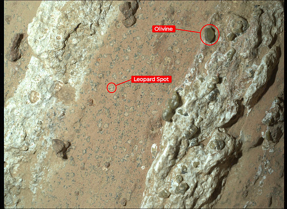 Perseverance Finds a Rock with Leopard Spots at Cheyava Falls (Mars)