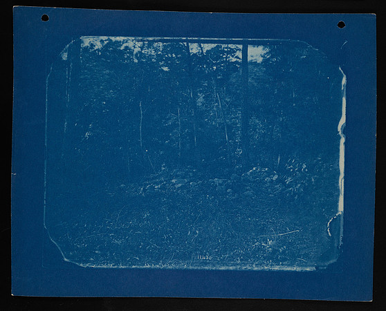 Rock Pile in a Forested Area (circa 1870)