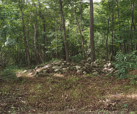 AI Color Reconstruction - Rock Pile in a Forested Area
