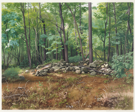 Watercolor 1143 - Rock Pile in a Forested Area