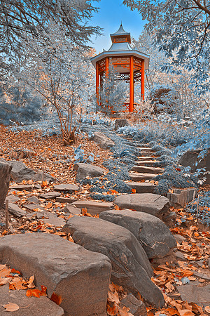 Oriental Sapphire Garden