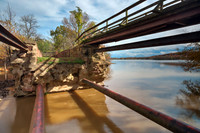 Skeletal Bridge of Seneca Creek