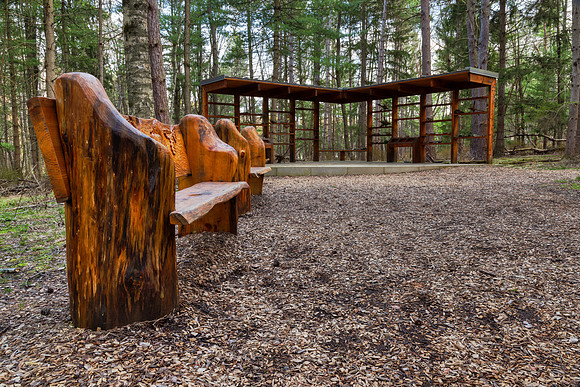 Autism Nature Recess