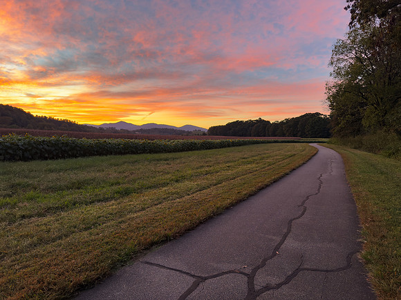Biltmore Twilight Way