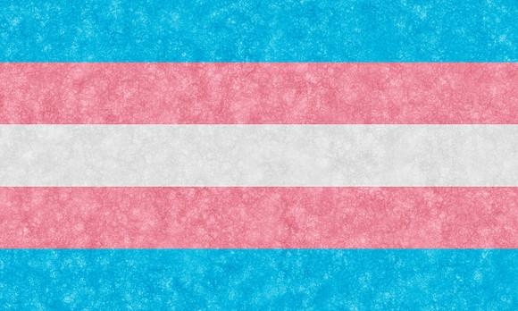 Velvet Transgender Flag
