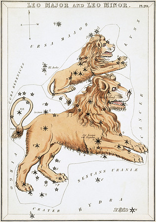 Vintage Constellations Leo Major and Leo Minor (Urania's Mirror)