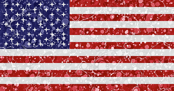 Marbled Flag - United States of AI