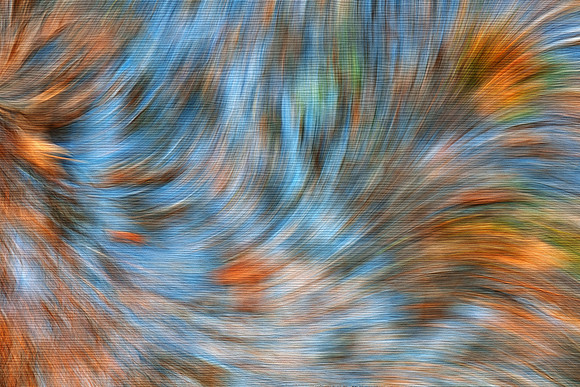 Marsh Swoosh