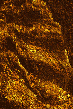 False Gold Idol