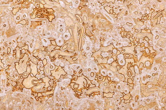 Nougat Cream Stone