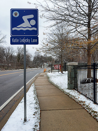 Finding Winter Inspiration by Katie Ledecky Lane