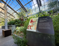 First Fruits Interpretive Sign at the US Botanic Garden