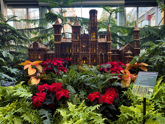 Smithsonian Plant Castle