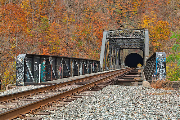 Autumn Graffiti Train Track
