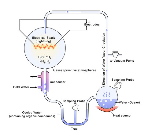 Miller-Urey experiment (1953)