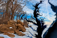 Chesapeake Winter