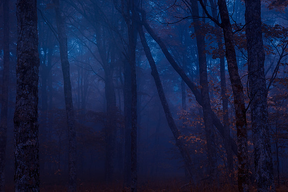 Midnight Forest Mist of Spruce Knob