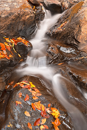Autumn Fossil Stream