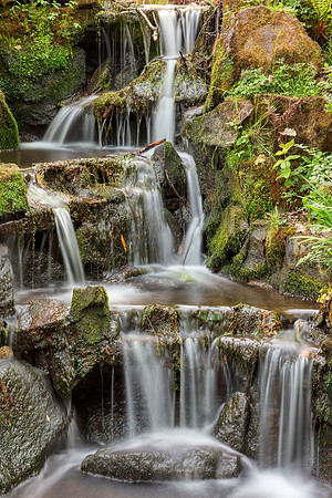 Clyne Gardens Waterfall