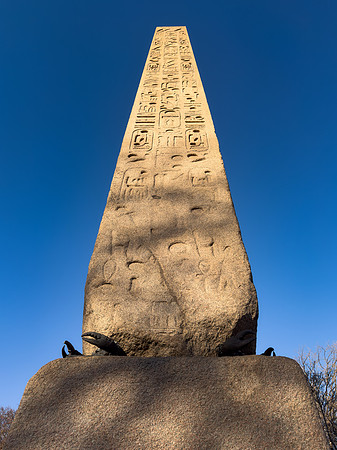 Cleopatra's Obelisk Needle