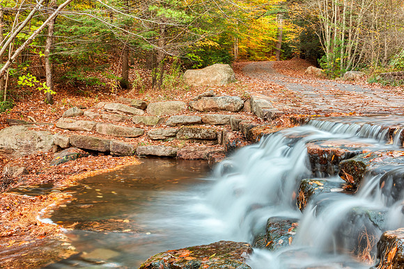 Autumn Roadside Cascades