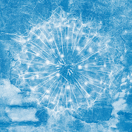 Frozen Fossil Spores