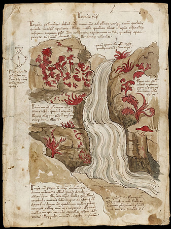 Nostravoynich Manuscript Page - Adams Primal Falls