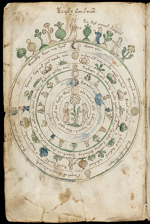 Nostravoynich Manuscript Page - Seven Fardement Heavens